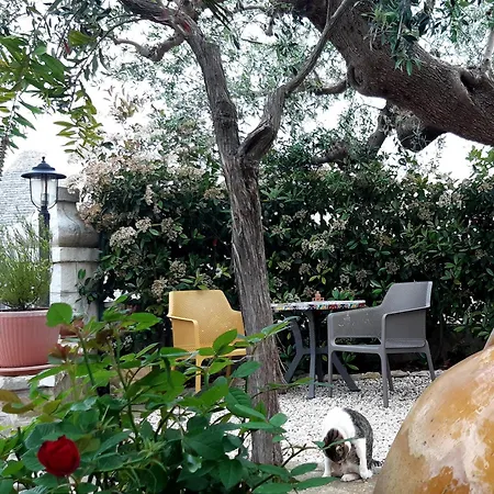Pietra d'angolo Locorotondo Esterno foto